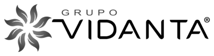 Grupo Vidanta